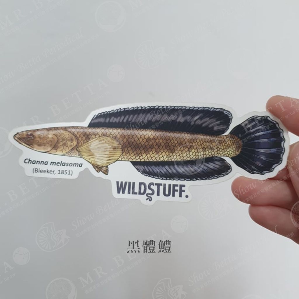 4f5bee802608932a99806961009f66df