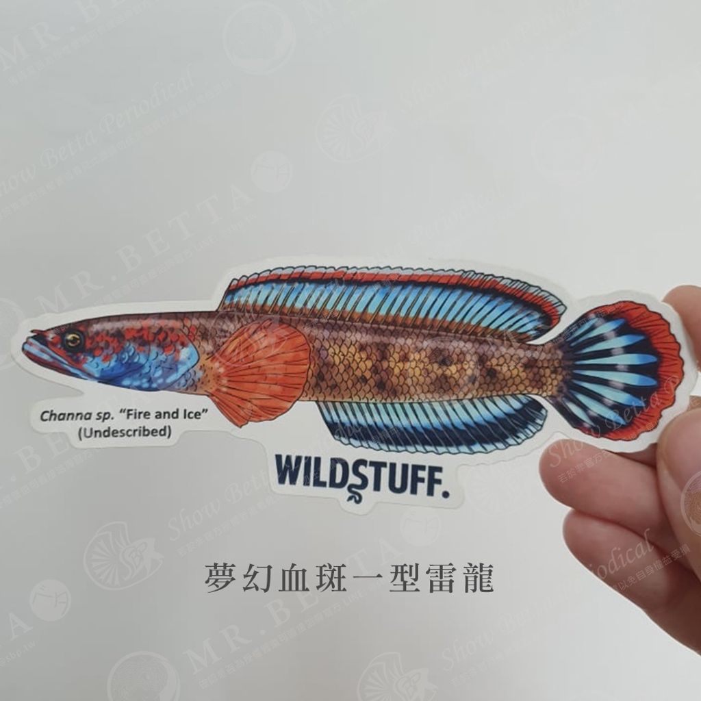 9e9b29c78f5b1a78c419edddf44283da