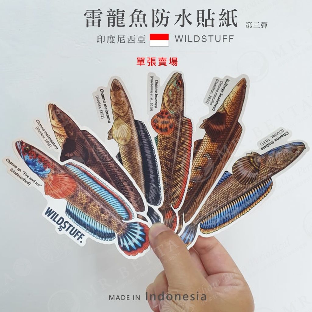 0aa5e10f74dddd09a33ad827bd2b5ff4