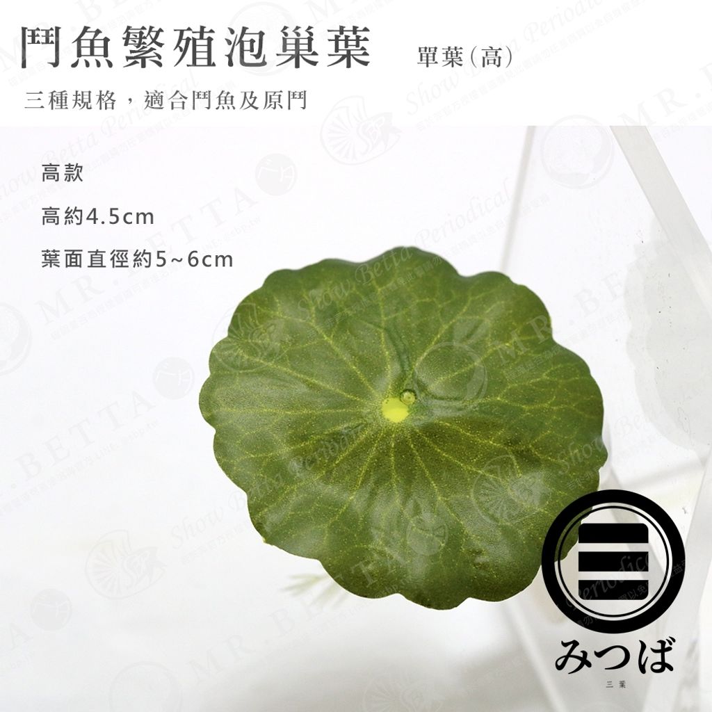 tw-11134207-7r992-lolfw7rltll6f2