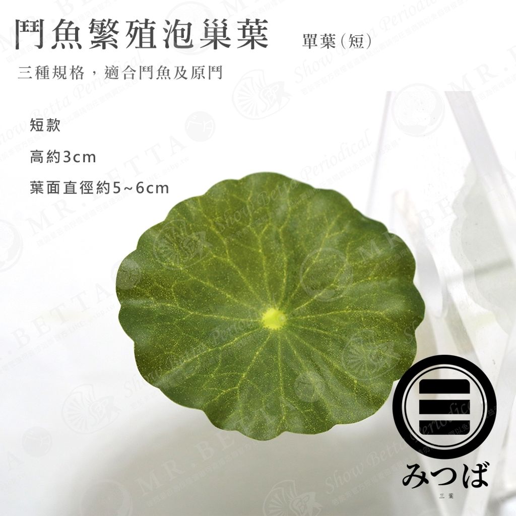 tw-11134207-7r98x-lolfw7rlv05ma7