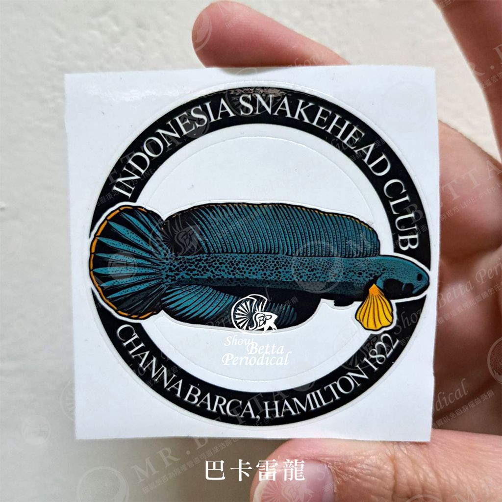 tw-11134207-23020-xkoj2hw9dcnv10