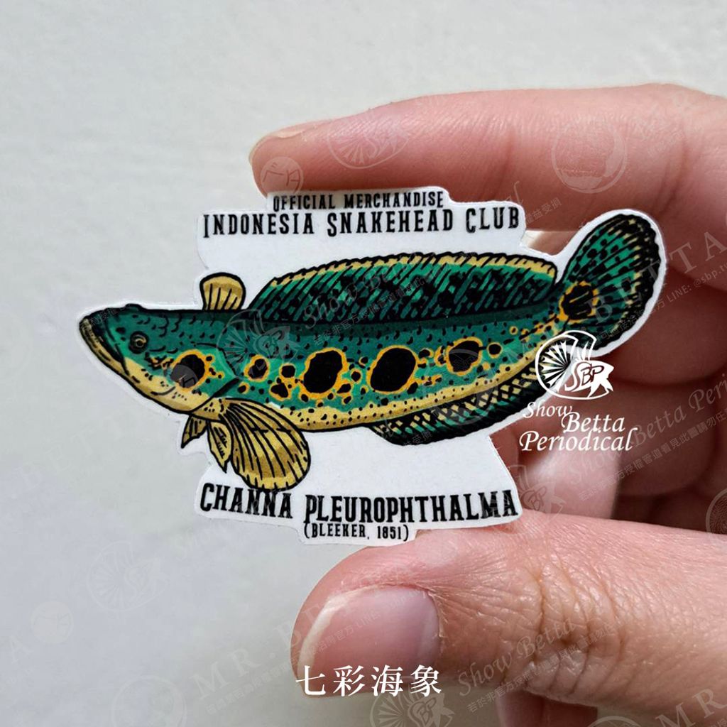 tw-11134207-23020-587r1dy9dcnv3e