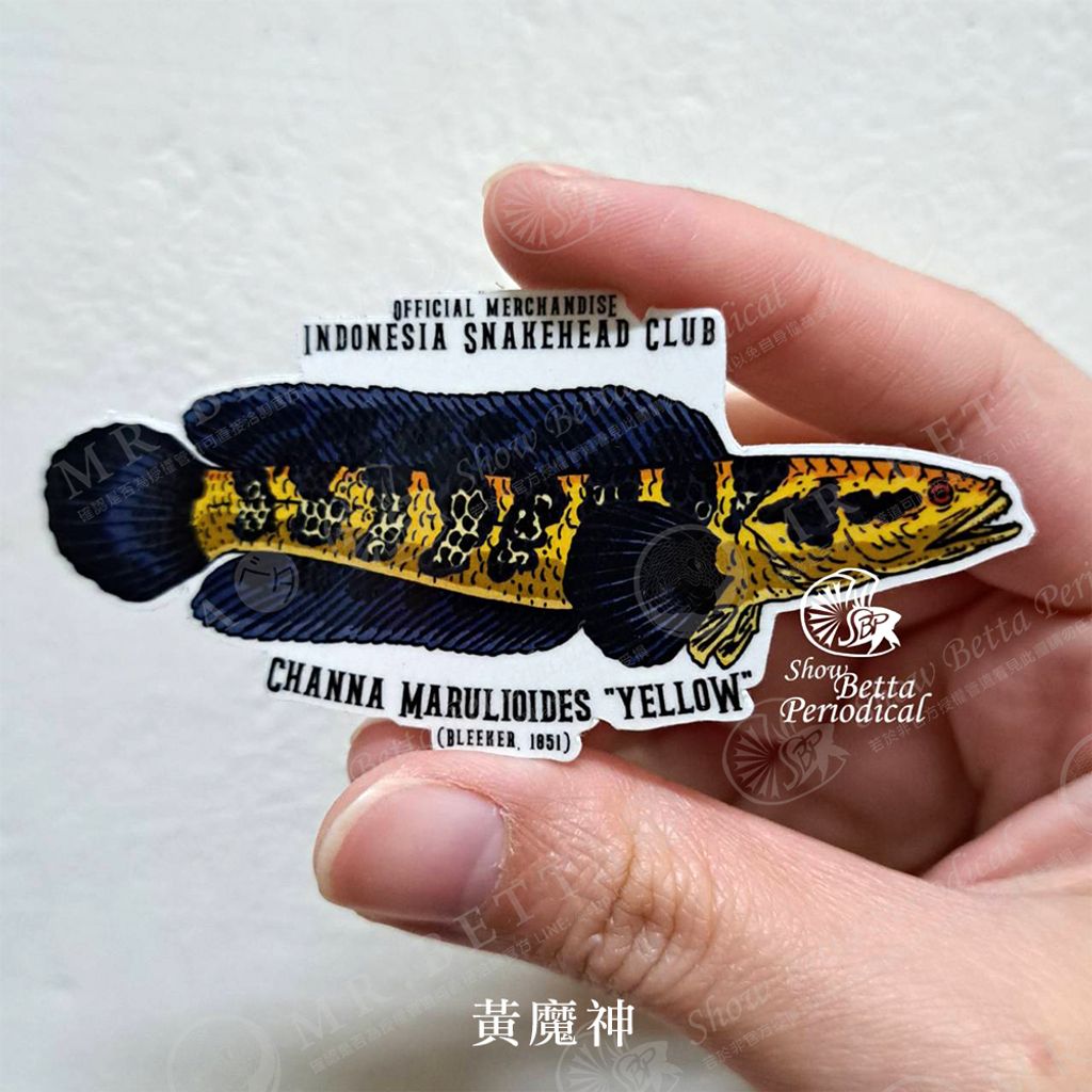 tw-11134207-23020-kshm5o79dcnv0e