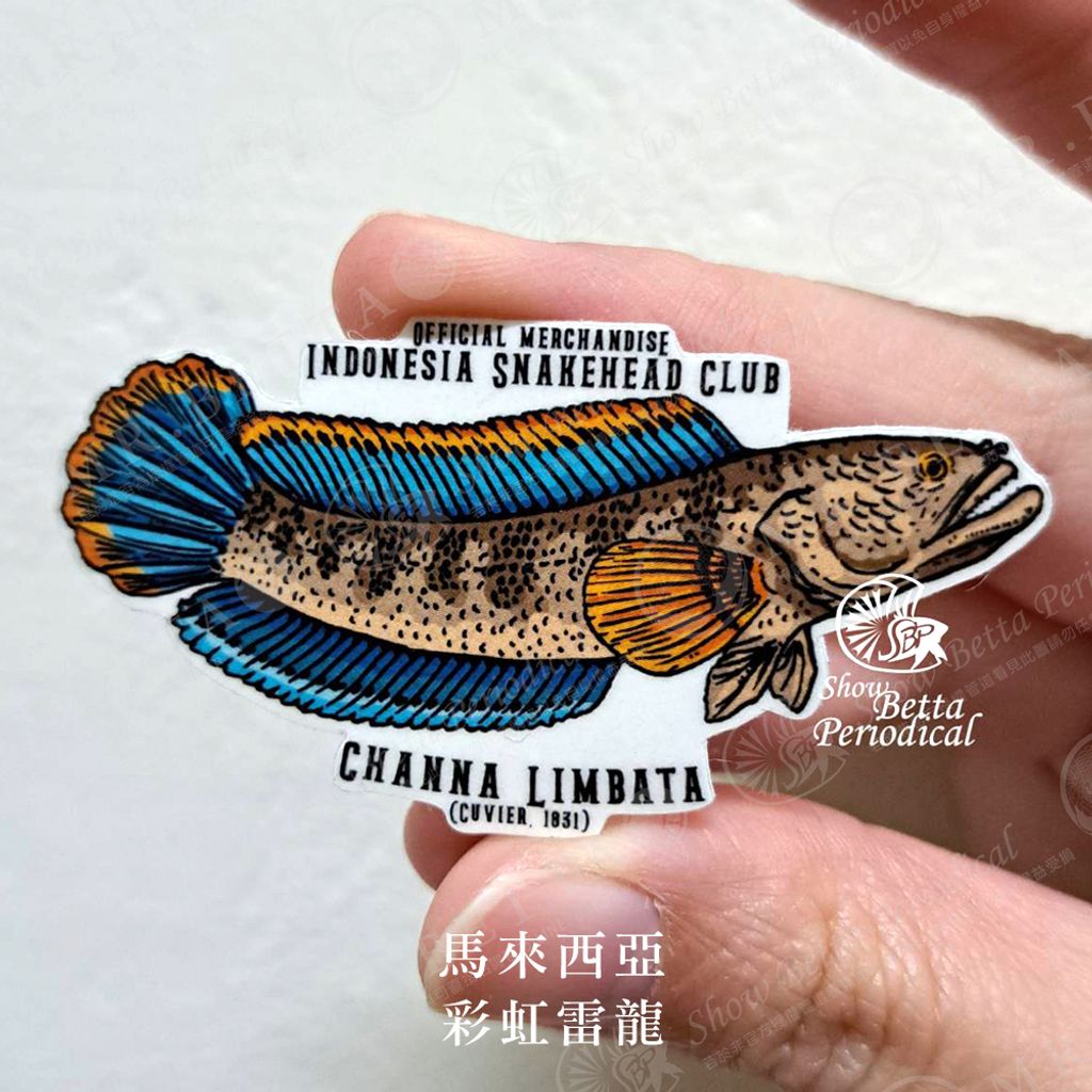 tw-11134207-23020-1op7fto0dcnv9a