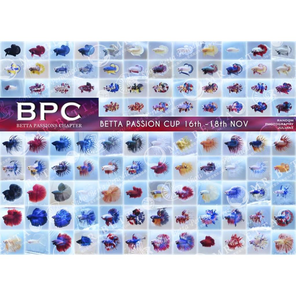 tw-11134207-23020-9m6zmabq0bnv6f