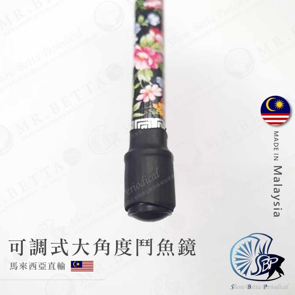 13c0929bcf7b1340677e1cccebed998a