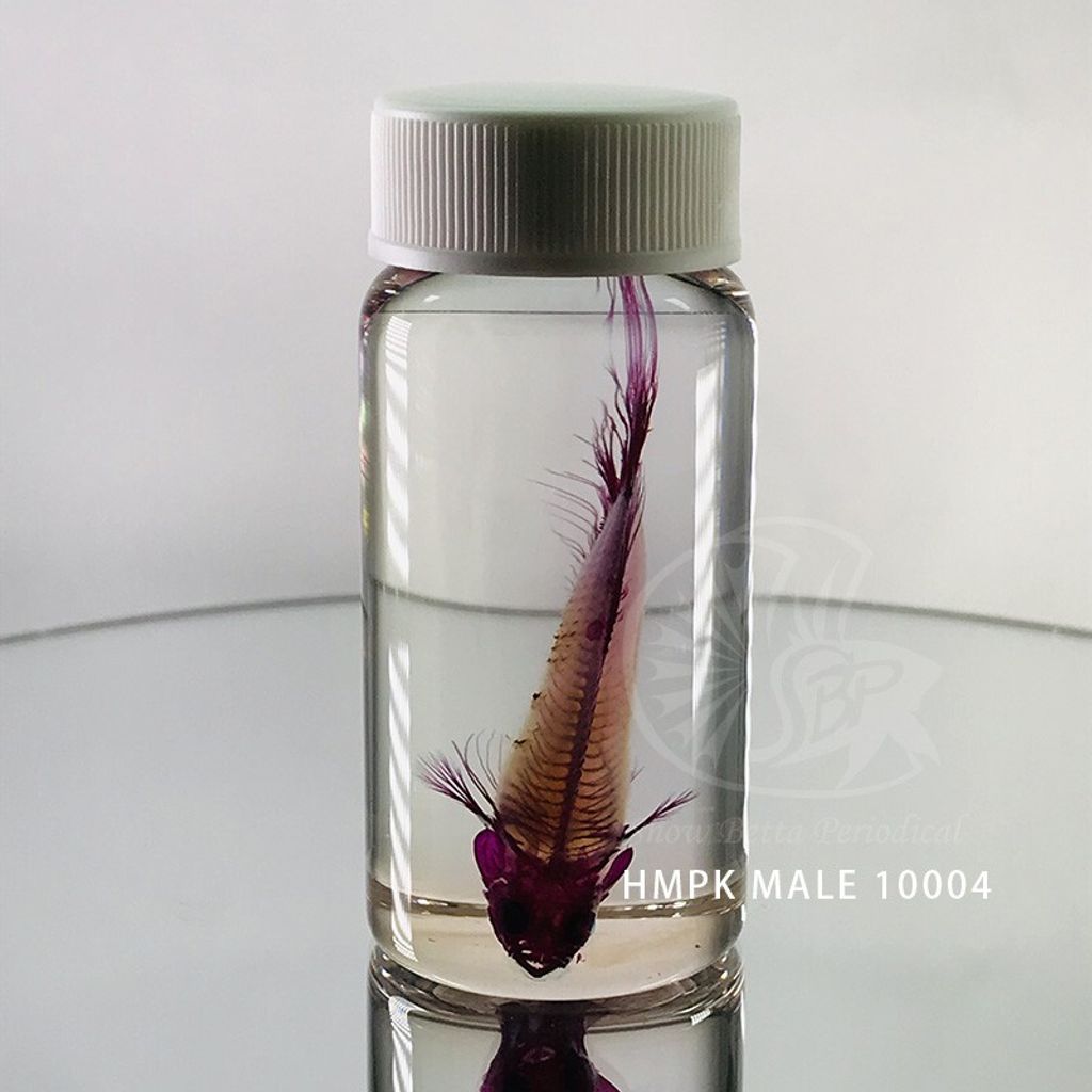 2e8443522780307e6af99668af1a3f92