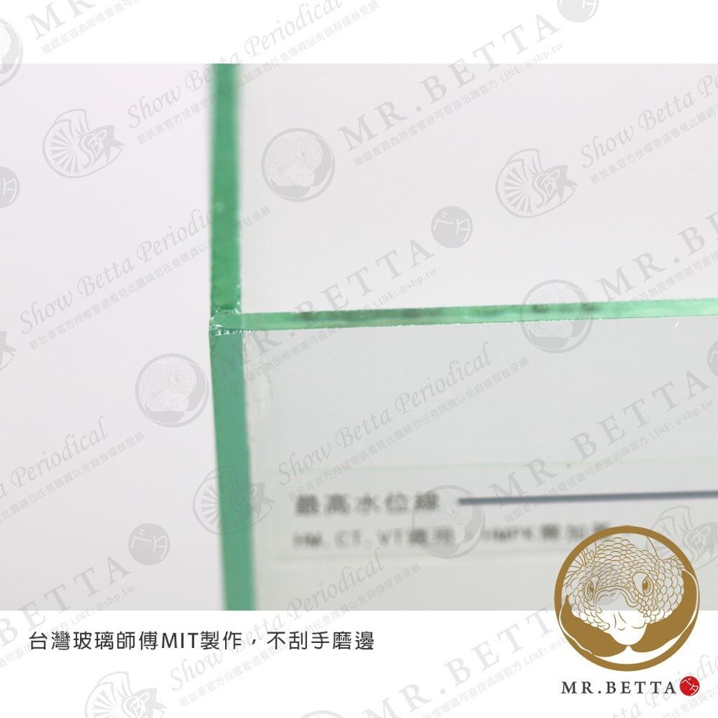 899c82753a5dc8d8fb49bcf9c09a6e7e