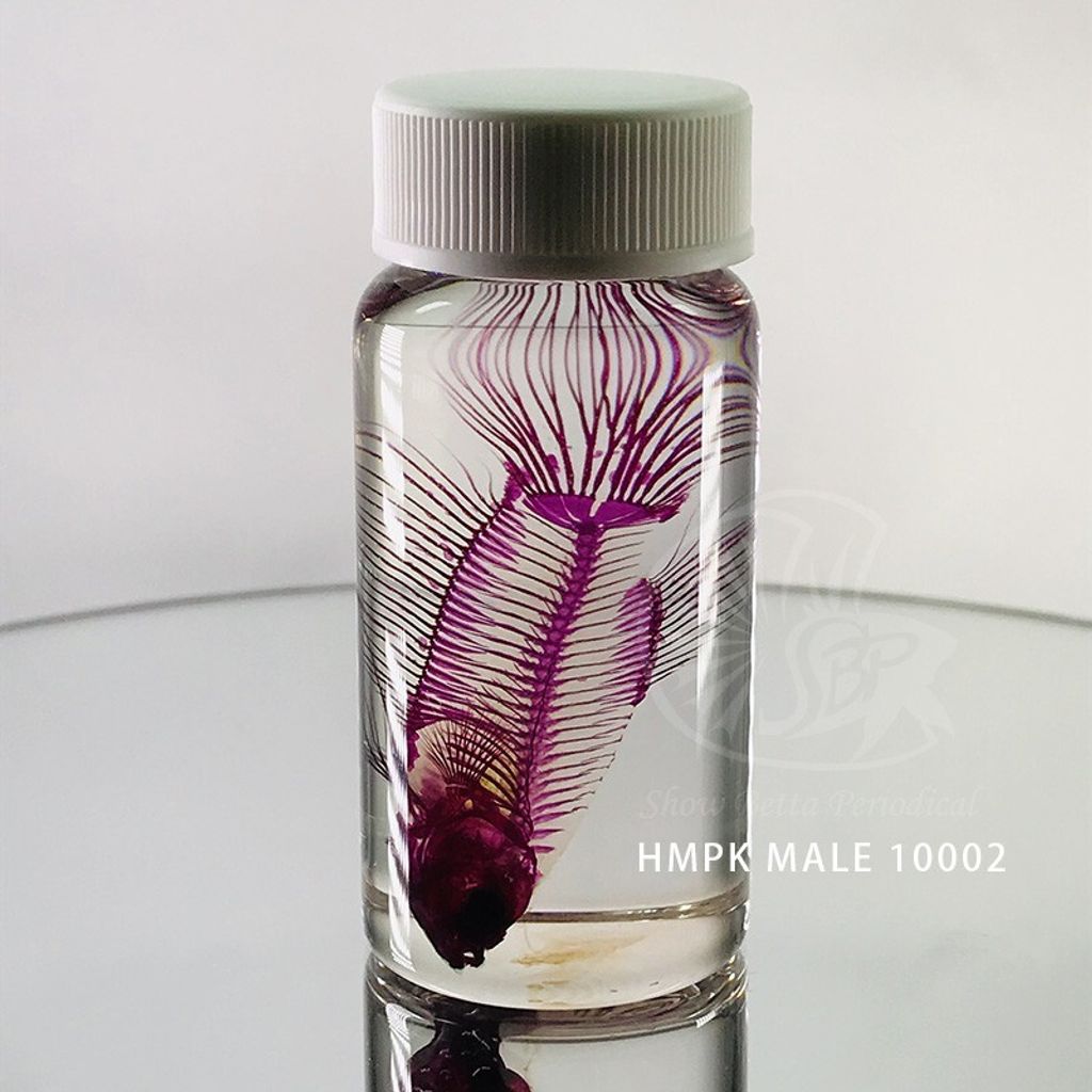 738a6b6b2afa4ab3582a7abee523d309