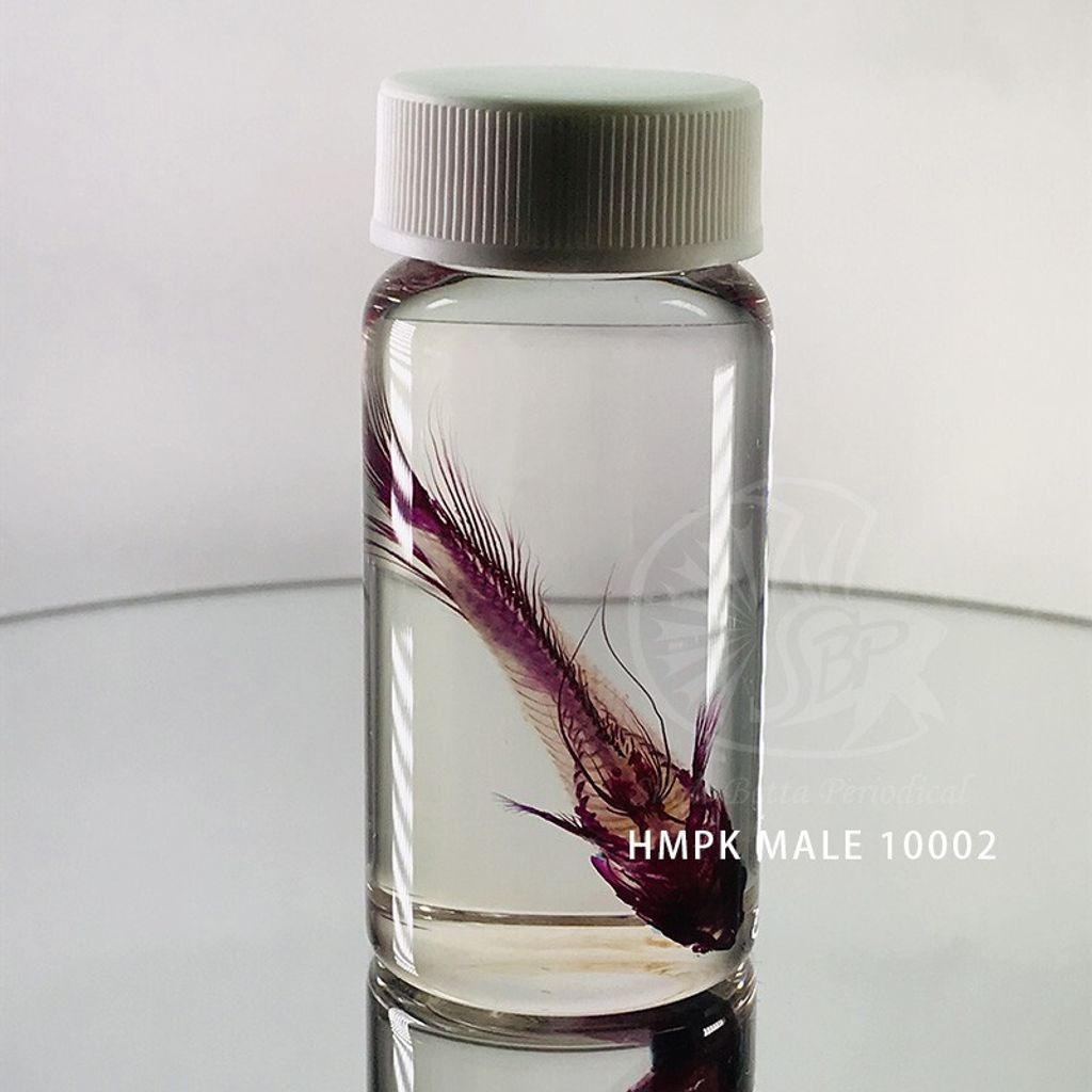 7ab013c71f6f1e402fa02c1a03815cb2