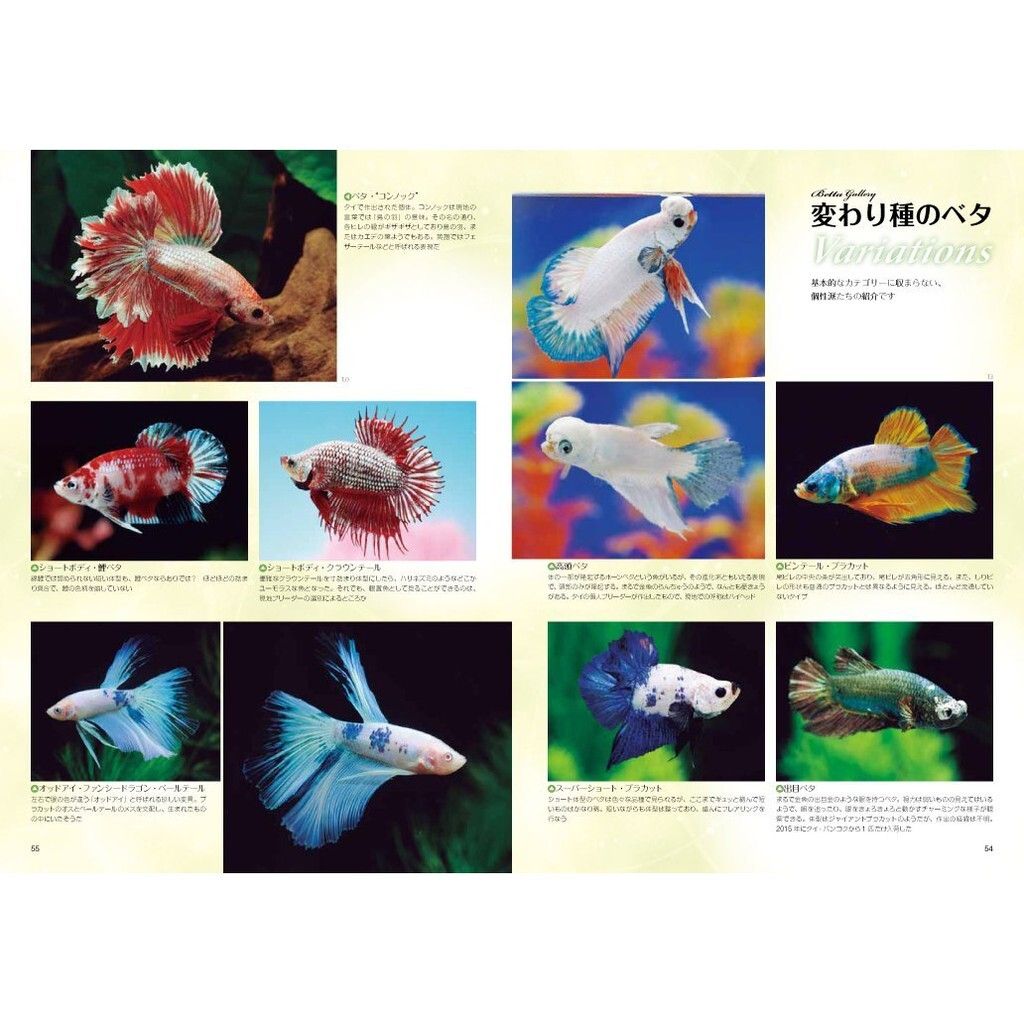 5f7ef2004c8e171d4cd1d68f304b2e7c