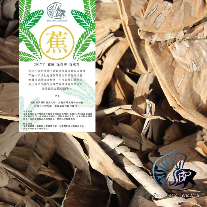 41ad1cd6f1fe842f7431b27cd7a6079d