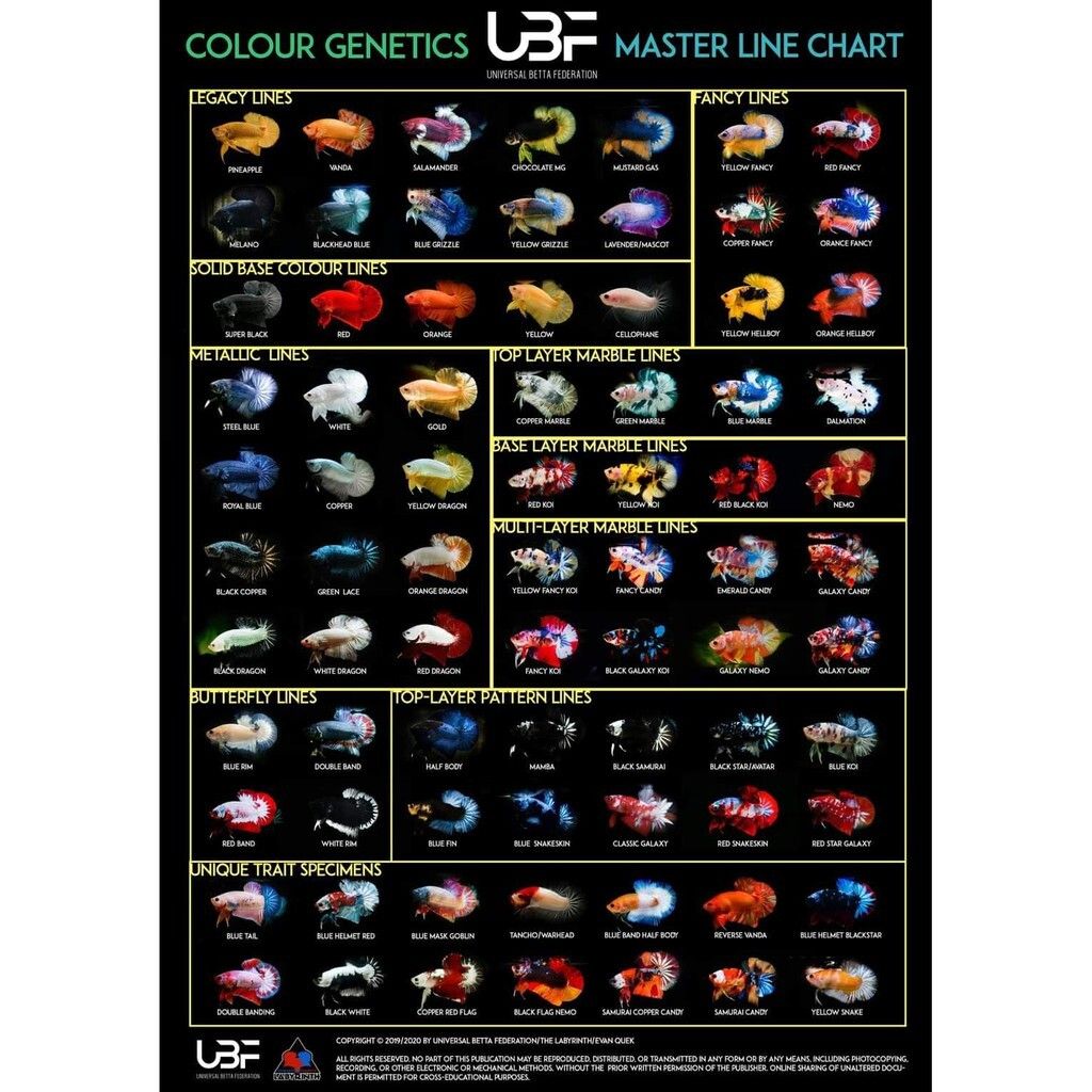 dac7c77034e65260d7b69259ee2a18f4