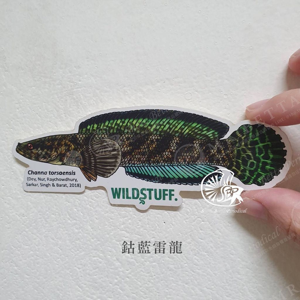 028b32d18d11601d6f33cbf80a76761d