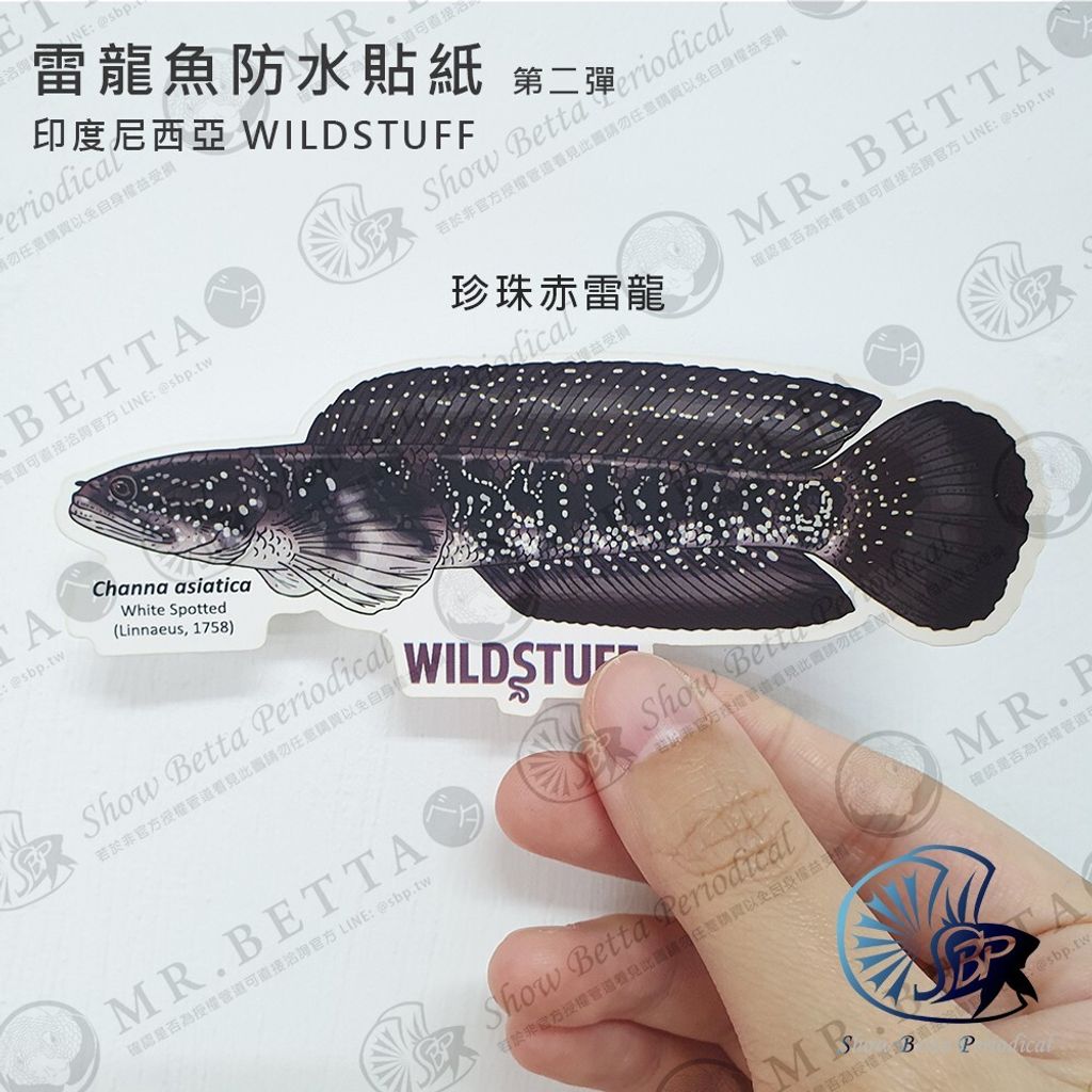 3a939011e3dfb06de13347ac4c93885c