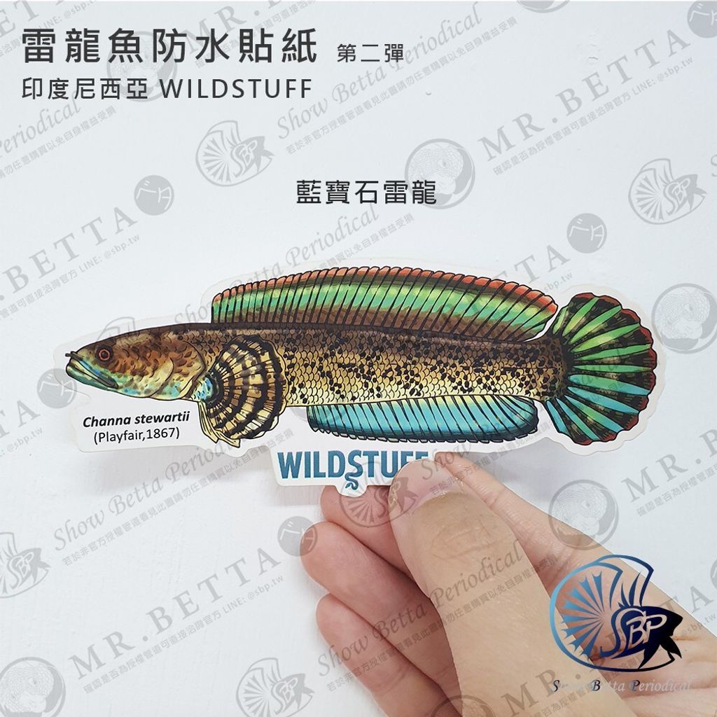 3a86ad515a492f0e897a069b2c0a781d