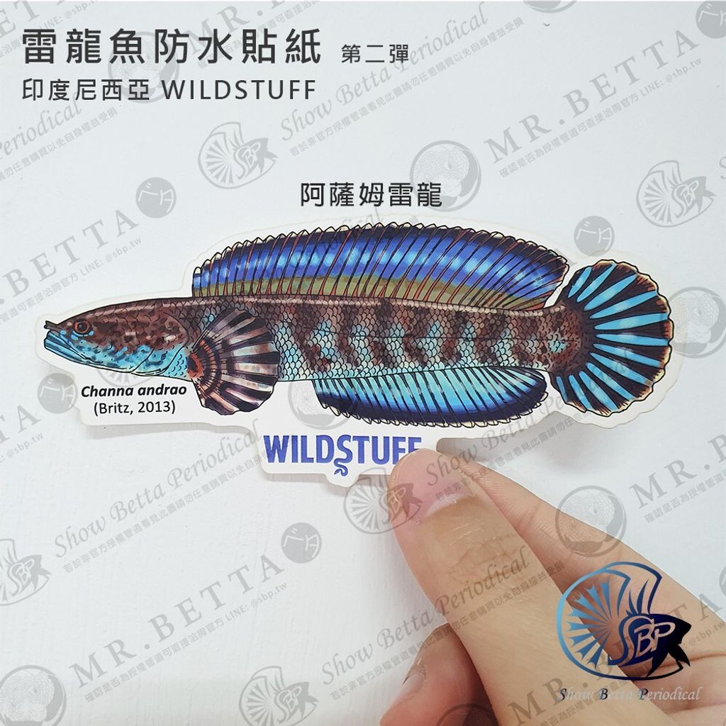 b85aa18e3f23f8436857c54d2affcba1