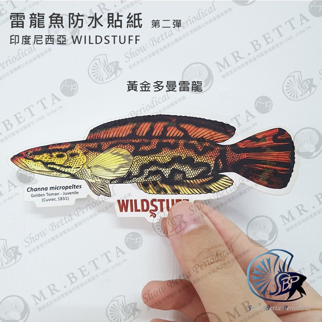 d38d1bfacc6fee3aceb5b5caa286c9ea