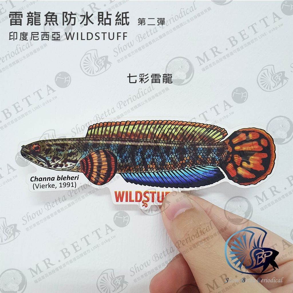 fc9b77079aac0fb342f49253cf817062