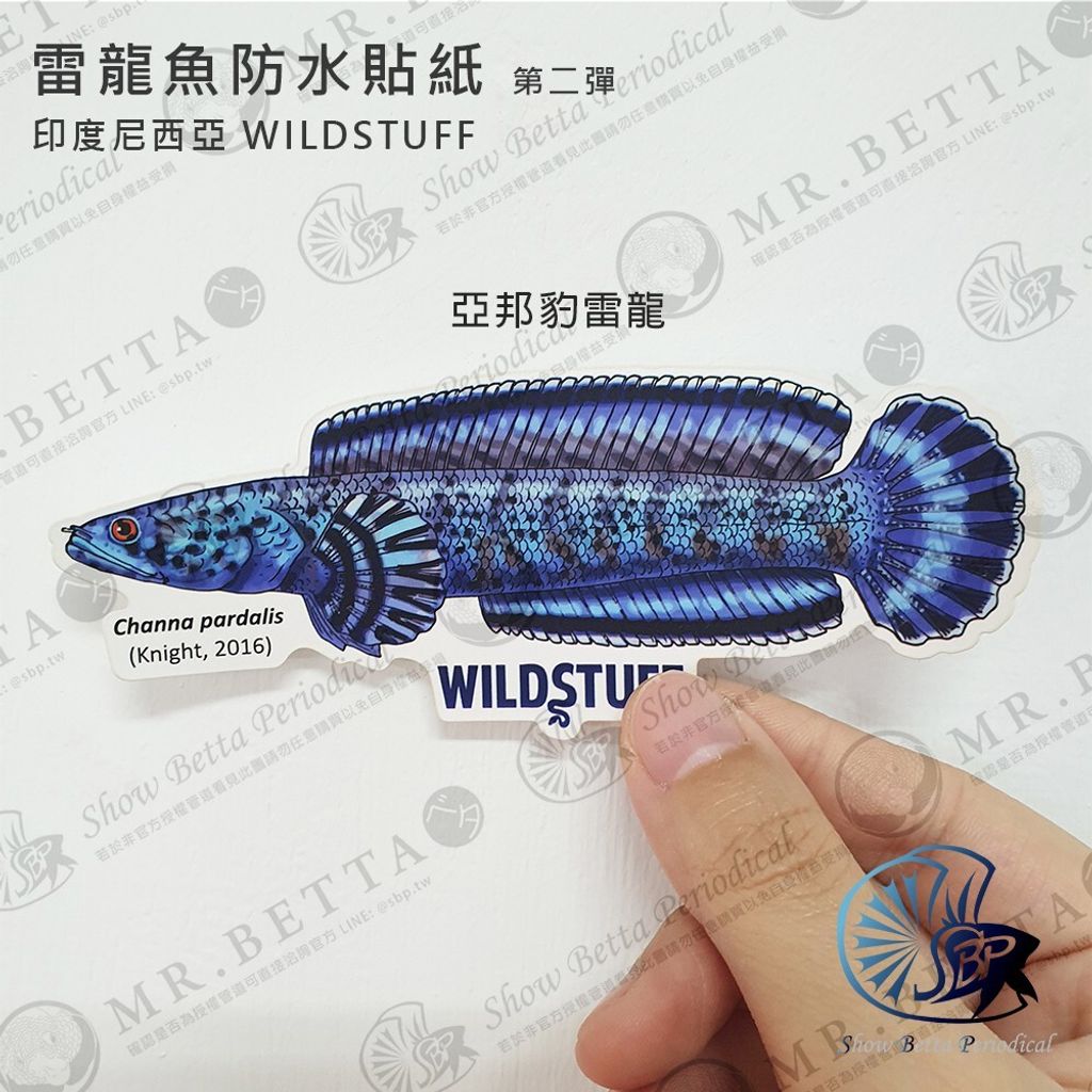 bf81067aeb54acb69fa9b522b270f361