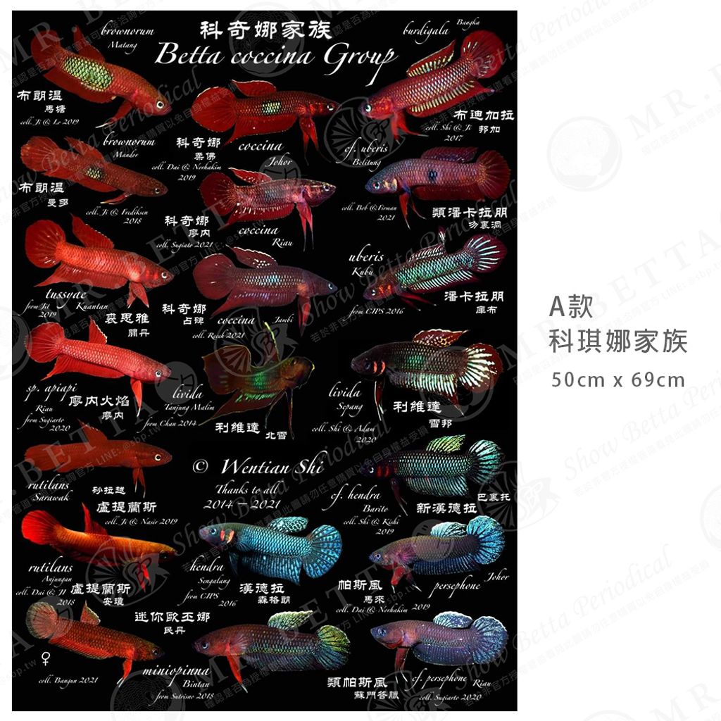 tw-11134207-23010-5dj2z5hjt7lv12