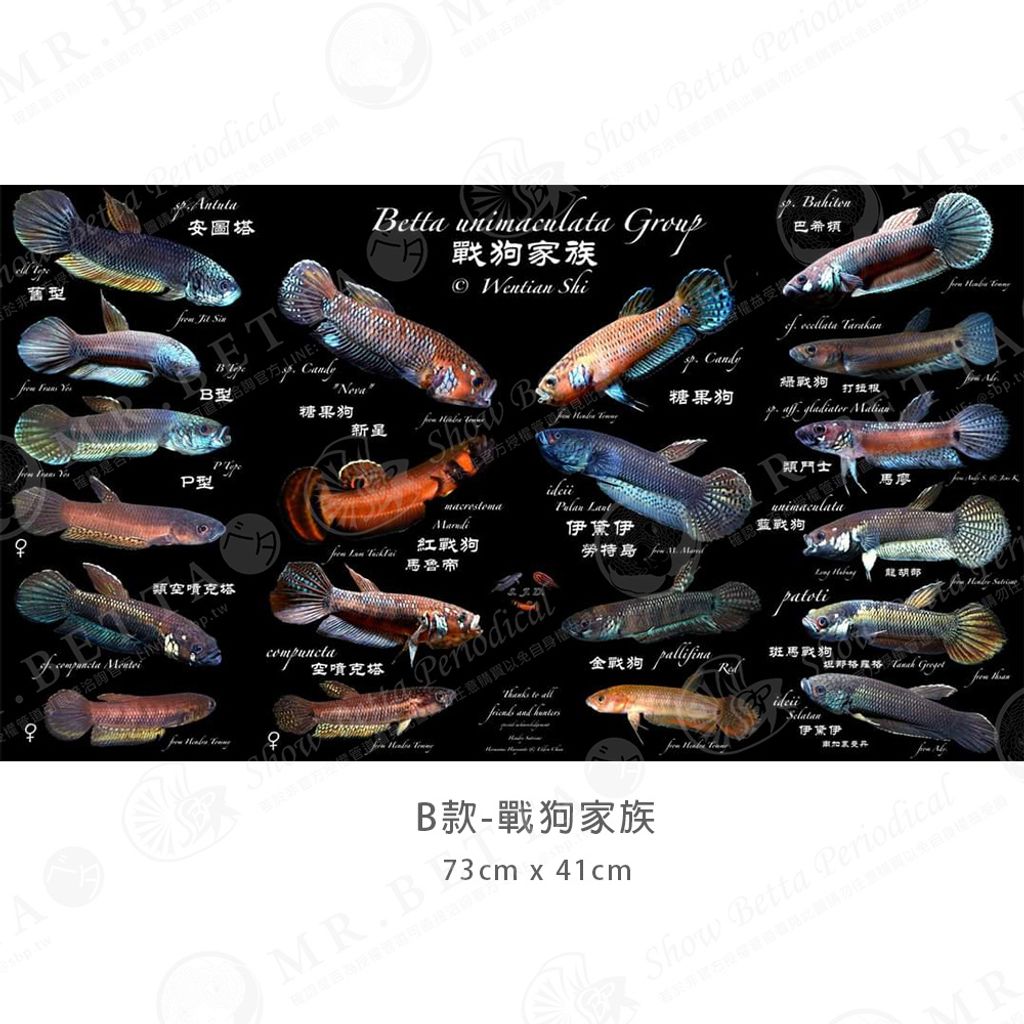 tw-11134207-23010-rec5z5hjt7lv1c