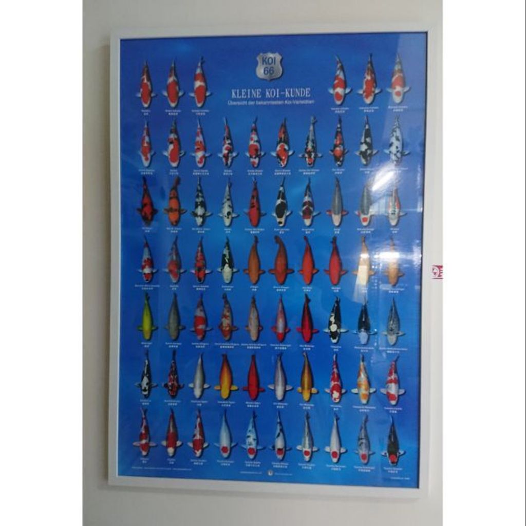 298122ad3ece92bd446cc4031d4cc64b