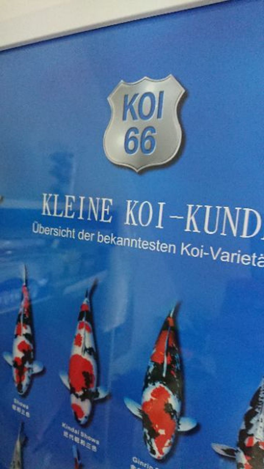 9731b937e1457e5b7c4c28907eb17c83