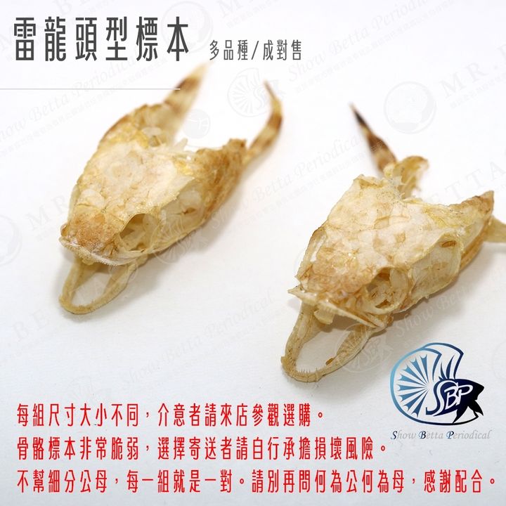 tw-11134207-7r991-ltnzbrogfna3fd
