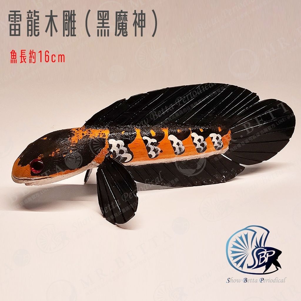 tw-11134207-7r98s-ltnzbrogcu3z1c