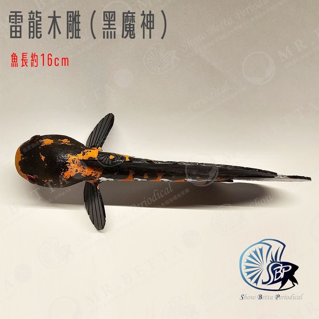 tw-11134207-7r98w-ltnzbrogbfjj50