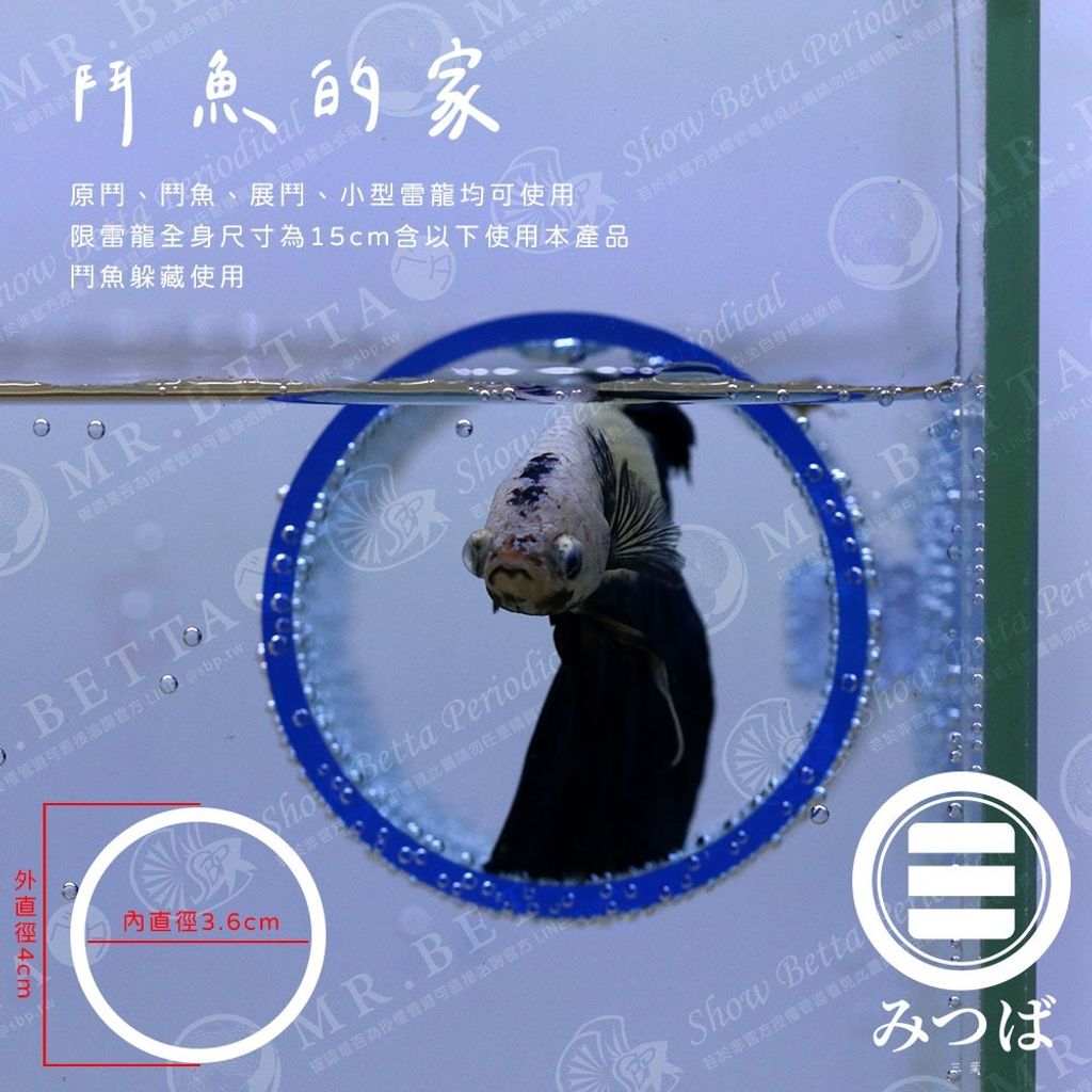 tw-11134207-7r98p-lx9vzmzg1yxy96