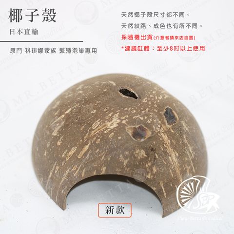 BAND-商品-2024-1