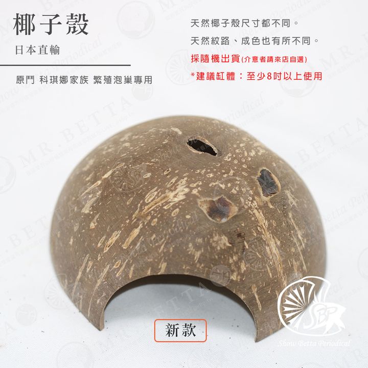 BAND-商品-2024-1