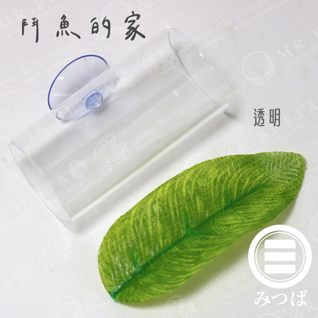 BAND-鬥魚的家