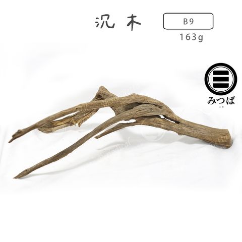 tw-11134207-7ras8-m5rdwzabhjjqcf