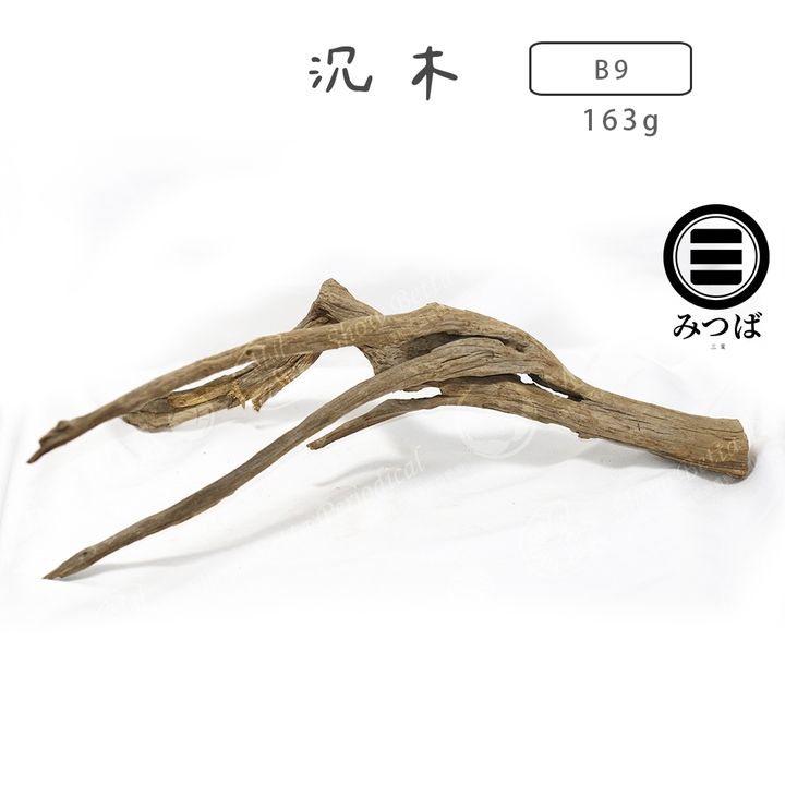 tw-11134207-7ras8-m5rdwzabhjjqcf