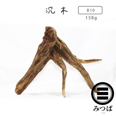 tw-11134207-7rase-m5rex5zd40ba29