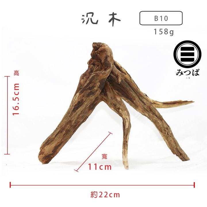 tw-11134207-7rasf-m5rex5zd3znab2