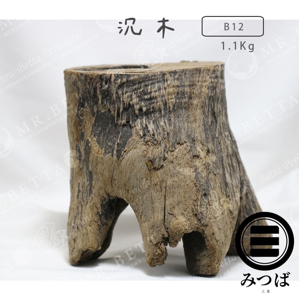 tw-11134207-7rbkc-mak545eva5w8a9