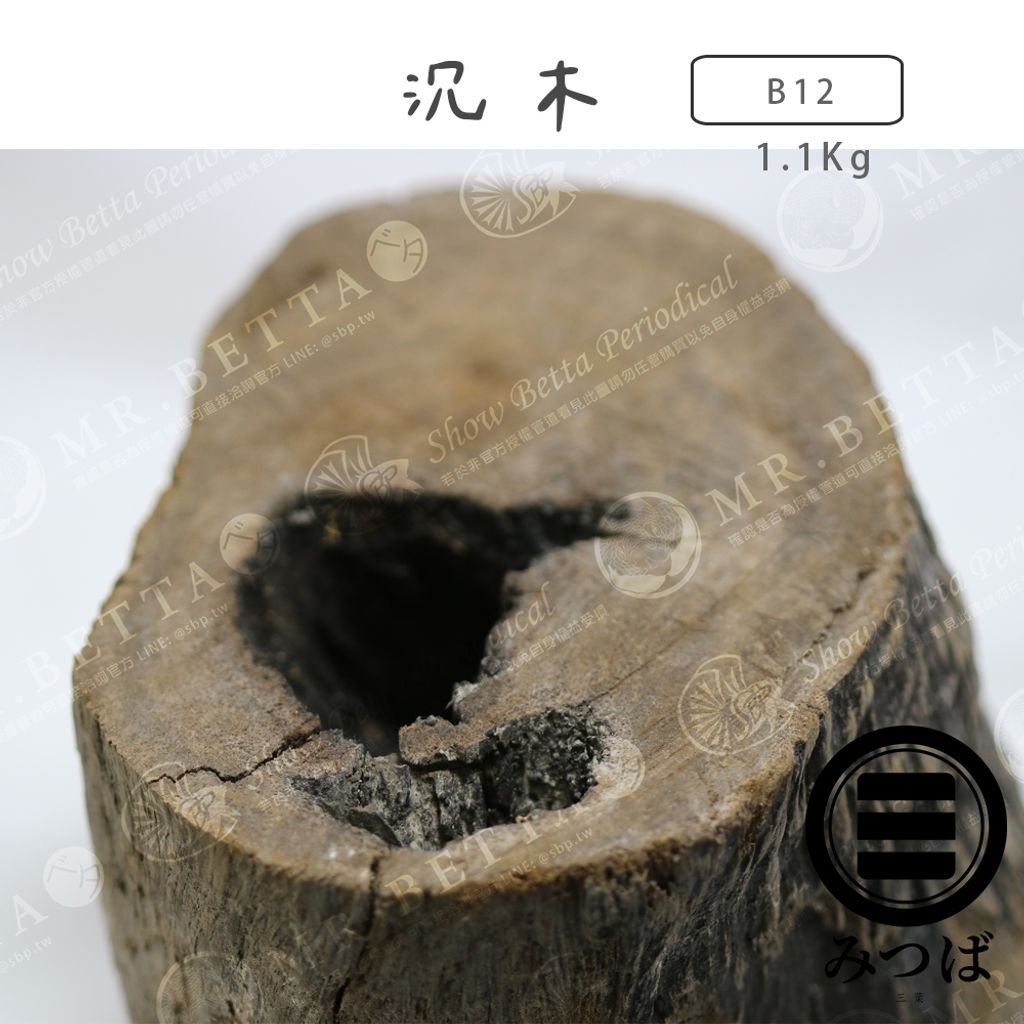 tw-11134207-7rbk3-mak545evbkgo64