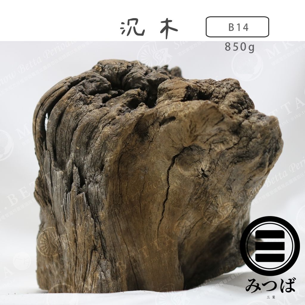 tw-11134207-7rbk8-mak577ojyg6u23