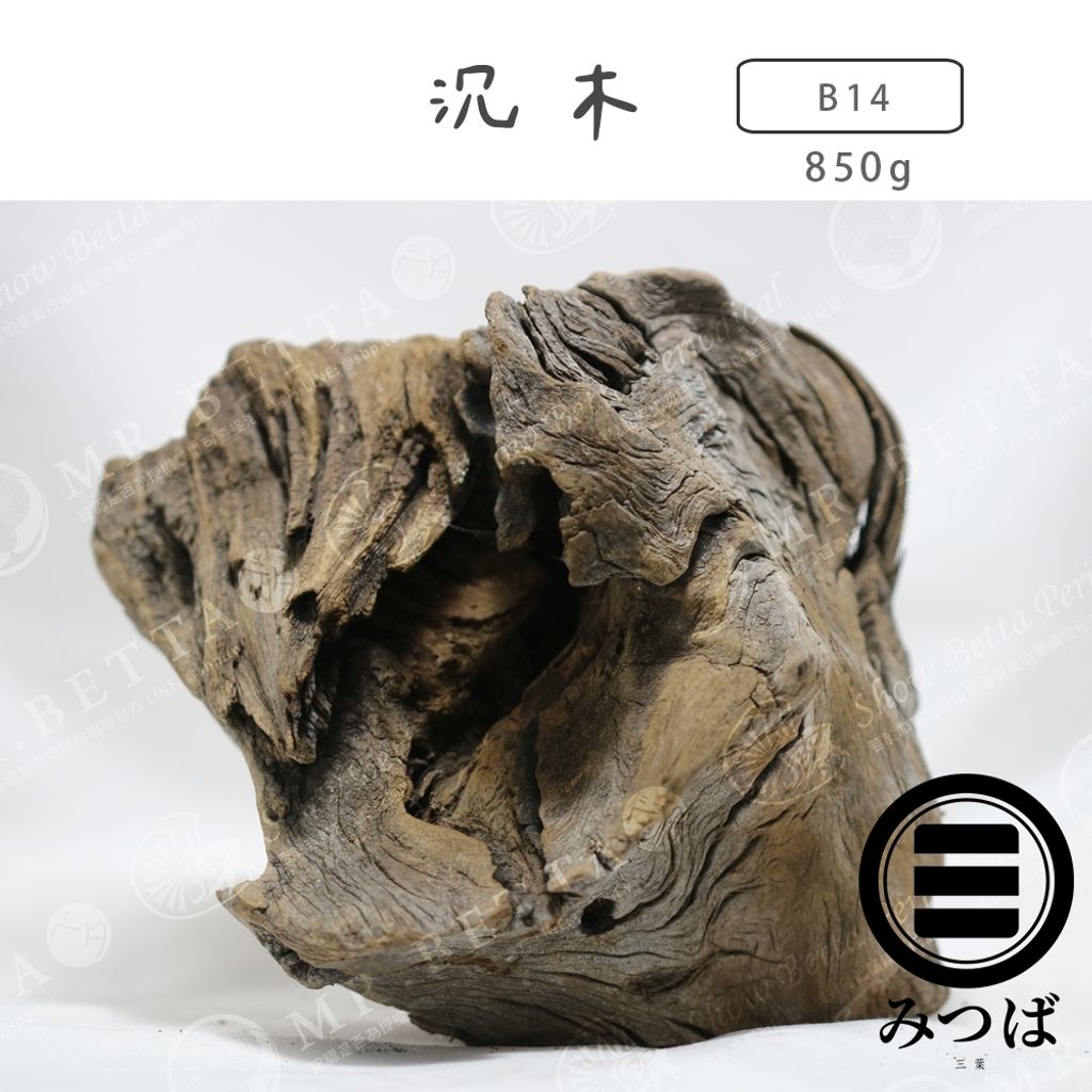 tw-11134207-7rbk9-mak577ojx1q161