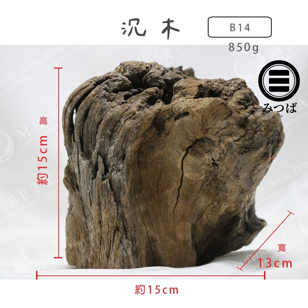 tw-11134207-7rbk9-mak577ojx1me44