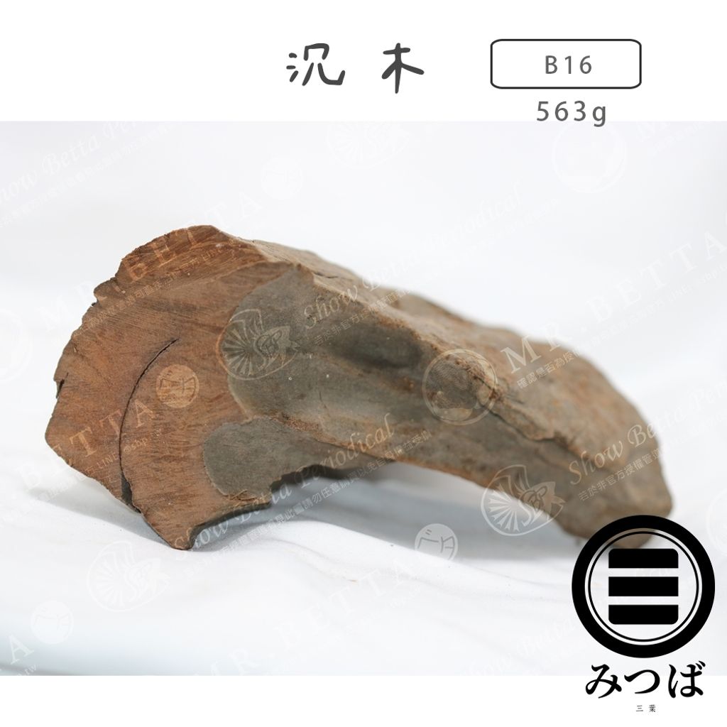 tw-11134207-7rbka-mak59u55omzce2