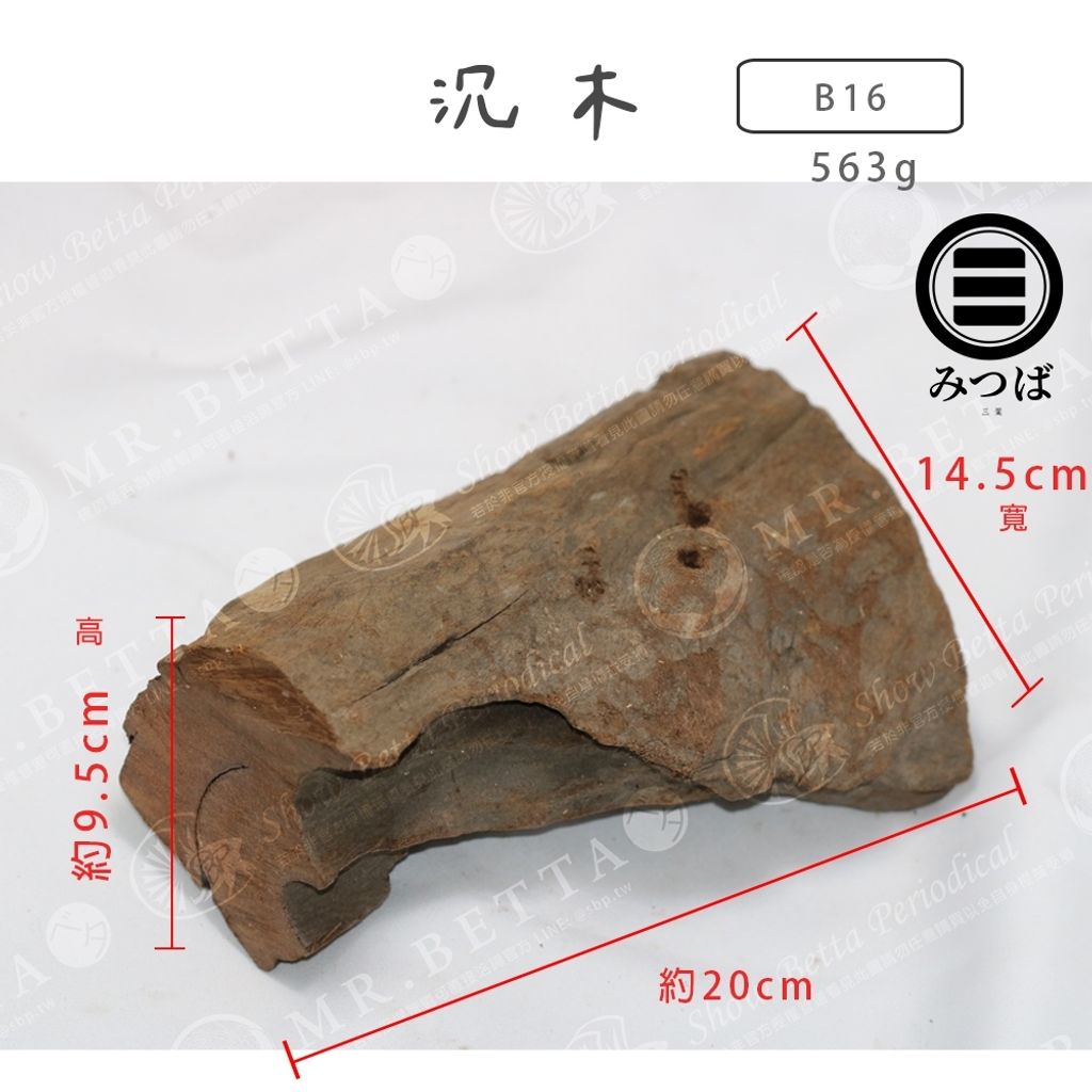 tw-11134207-7rbk0-mak59u55q1js11