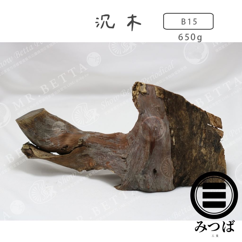 tw-11134207-7rbk0-mak584xt901i6b