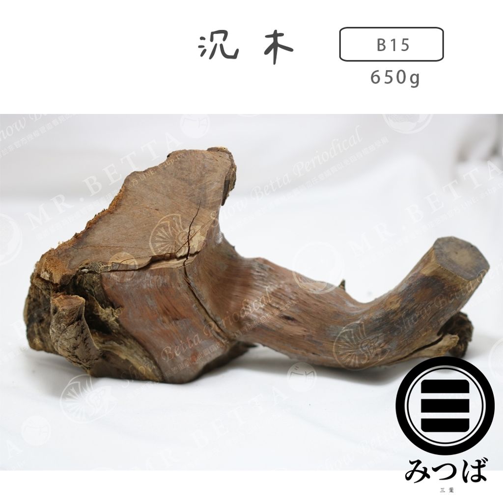 tw-11134207-7rbkd-mak584y38lixd9