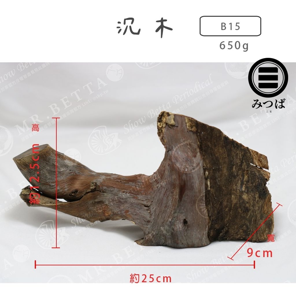 tw-11134207-7rbk4-mak584y38lfa4a